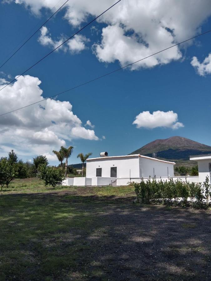 Vesuvio Casa De Charme Bed and Breakfast Trecase Eksteriør billede